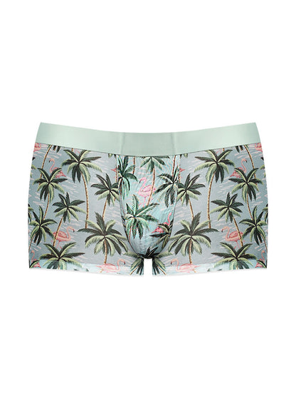 Sheer Prints - Seamless Sheer Short - Small -  Flamingo