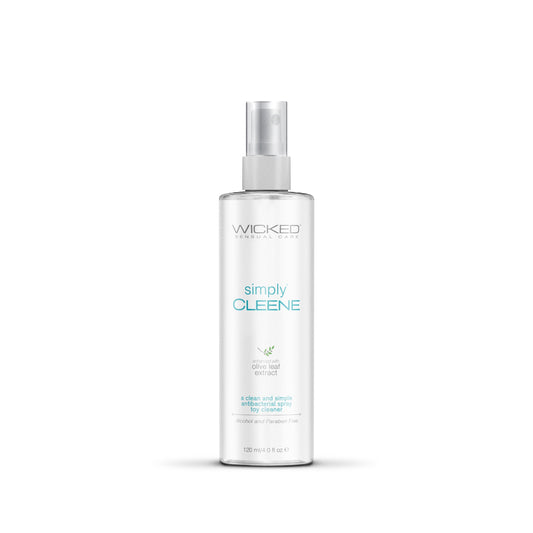 Simply Cleene Anti Bacterial Toy Spray 4 Oz - Love It Wet