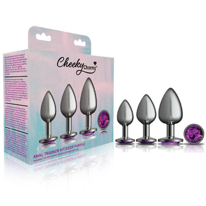 Cheeky Charms - Metal Butt Plug Gunmetal - Round - Deep Purple - Anal Trainer Kit - Love It Wet