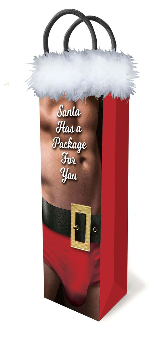 Santa Has a Big Package for You - Love It Wet